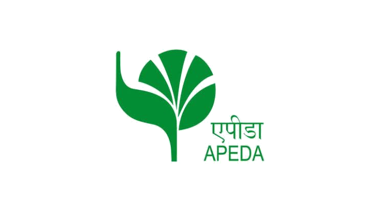 APEDA Logo